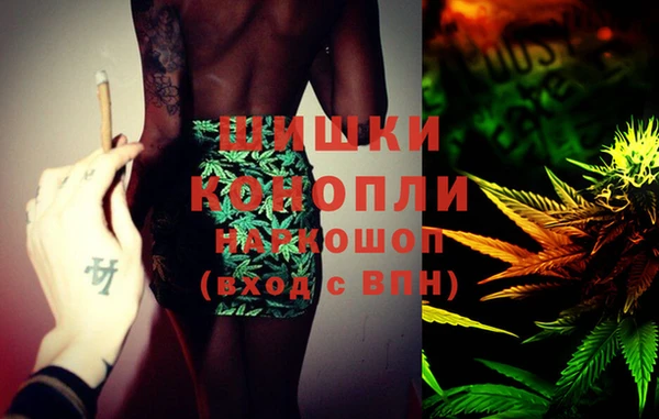 соль ск Верхний Тагил
