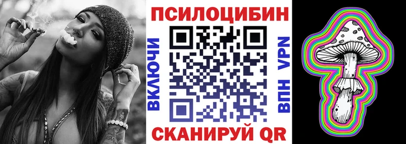 закладки  Камышин  Галлюциногенные грибы Cubensis 